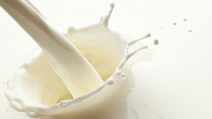 Prefeitura de São Miguel realiza segundo curso sobre fabricação caseira de derivados do leite